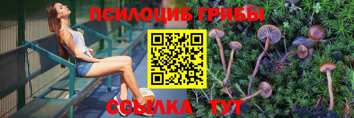 Псилоцибиновые грибы Cubensis  Галлюциногенные грибы Psilocybine cubensis  Вход с VPN  Ивантеевка 